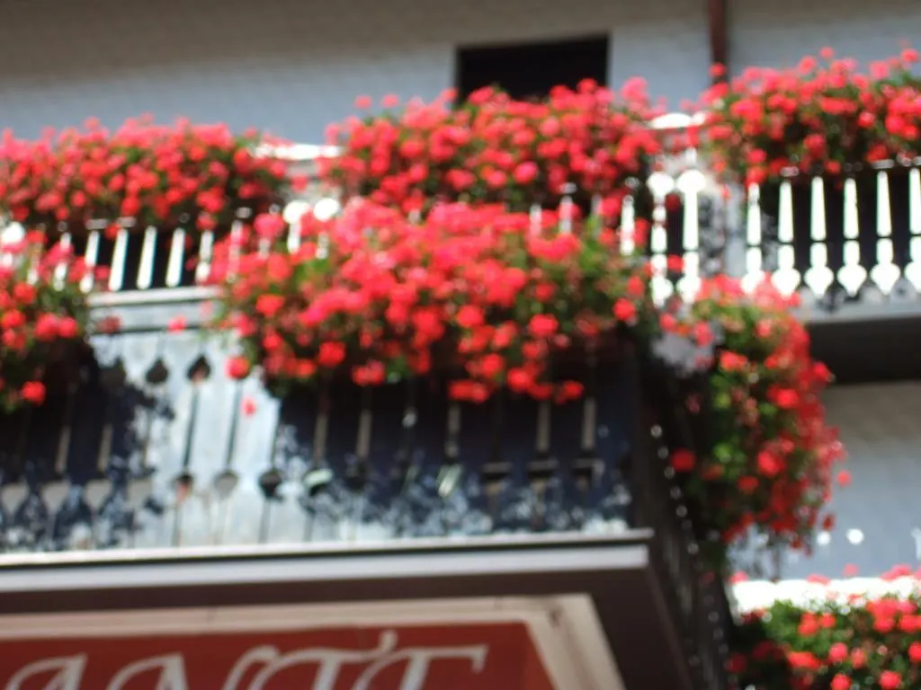 Hotel Albergo Trieste Tambre d'Alpago